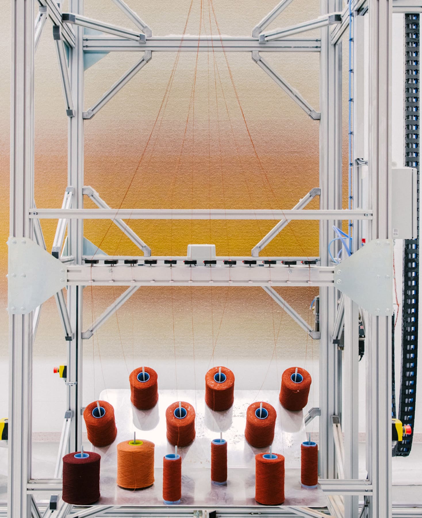 LAB RUGS ©MVerret 0451 5