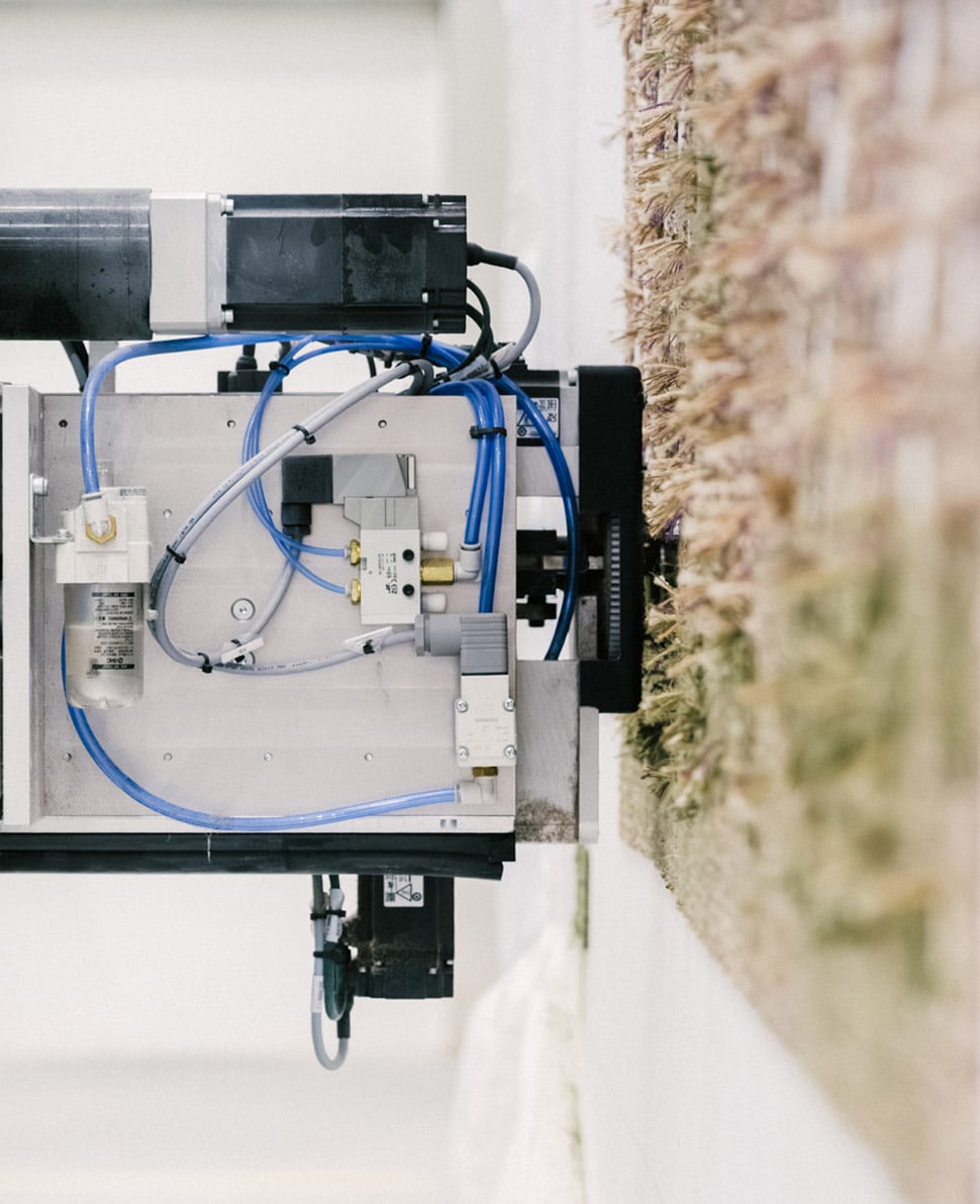 LAB RUGS ©MVerret 0451 6